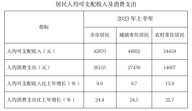 上半年收入图片.jpg